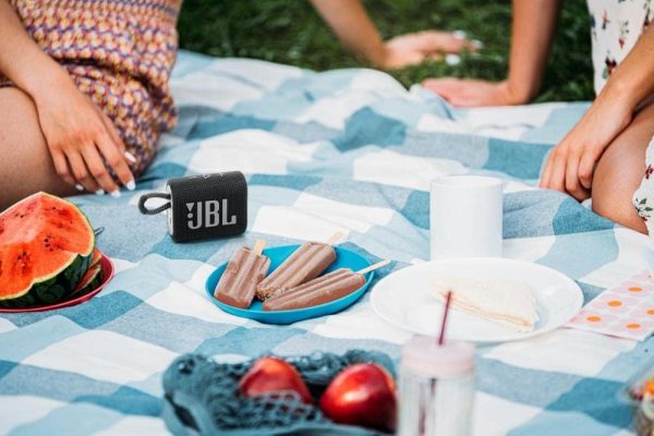 JBL GO 3 – Enceinte Bluetooth portable et légère, aux basses intenses et au style audacieux – Étanche à l’eau et à la poussière – Autonomie de 5 heures – Noir